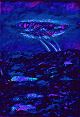 l am the space bite