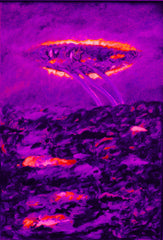 l am the space bite
