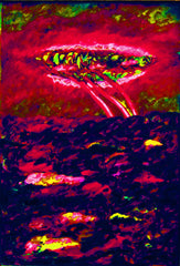l am the space bite