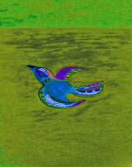 come fly with me