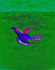 come fly with me