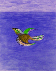 come fly with me