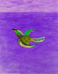 come fly with me