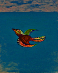 come fly with me