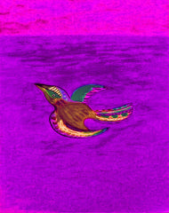 come fly with me