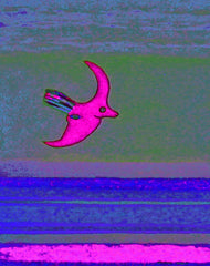 come fly with me