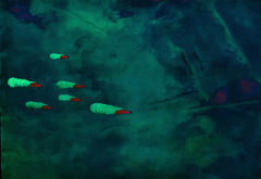 they are coming to blow you away