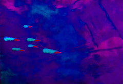 they are coming to blow you away