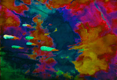 they are coming to blow you away