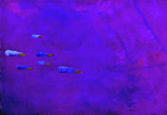 they are coming to blow you away