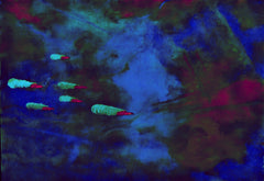 they are coming to blow you away