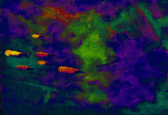 they are coming to blow you away