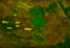 they are coming to blow you away