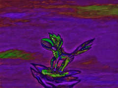 war with covid -19