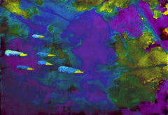 they are coming to blow you away