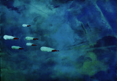 they are coming to blow you away