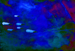 they are coming to blow you away