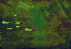 they are coming to blow you away