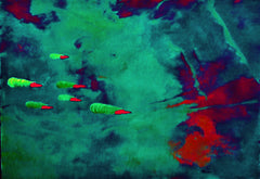 they are coming to blow you away