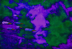 they are coming to blow you away