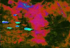 they are coming to blow you away