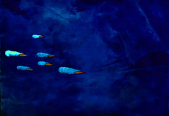 they are coming to blow you away