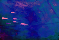 they are coming to blow you away