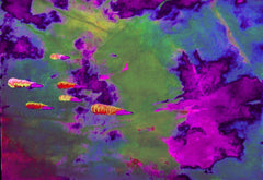 they are coming to blow you away