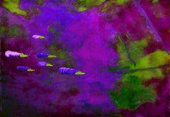 they are coming to blow you away