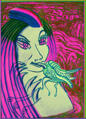 honey bird