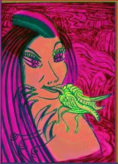 honey bird