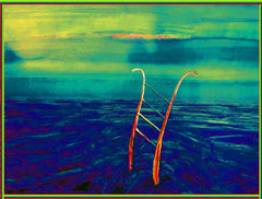 no way out