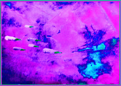 they are coming,to blow you away