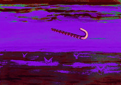 the