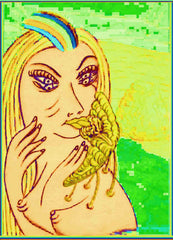 honey bird ,is what l like