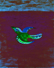 come fly with me