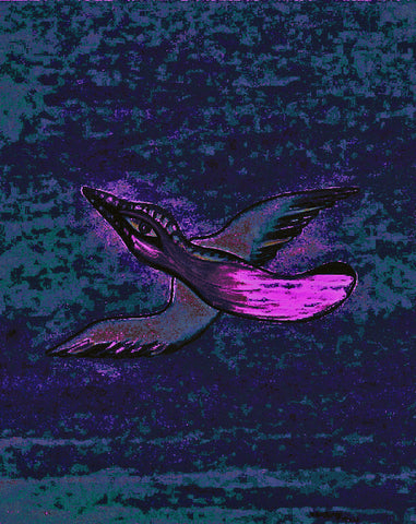 come fly with me