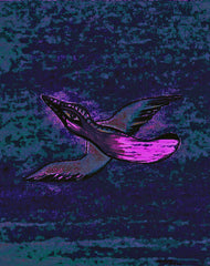 come fly with me