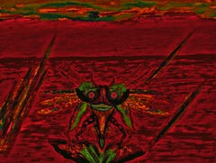 war with covid-19