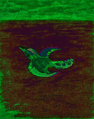 come fly with me