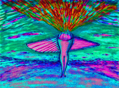 come fly with me