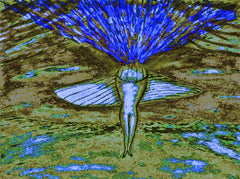 come fly with me