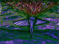 come fly with me