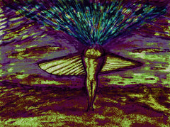 come fly with me