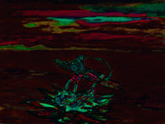 war with covid -19