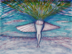 come fly with me