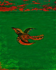 come fly with me