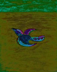 come fly with me