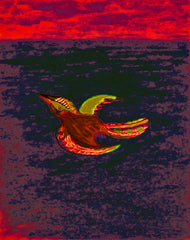 come fly with me