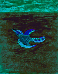 come fly with me